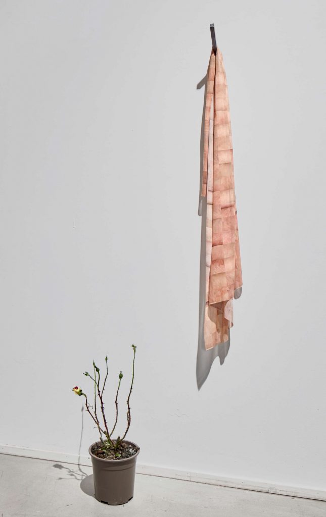 touch me · Laura Sigrüner (2021) Seide, GANs, MDF gebeizt, Rose Parfuma